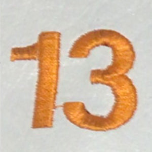 Embroidery {} Manchester Judaica