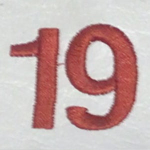 Embroidery {} Manchester Judaica