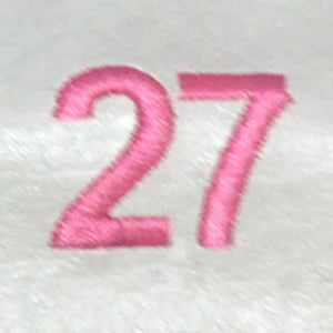 Embroidery {} Manchester Judaica