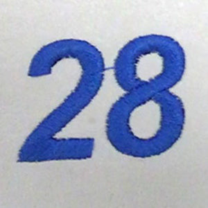 Embroidery {} Manchester Judaica