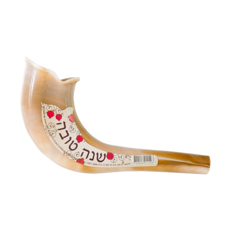 Small Plastic Shofar 18cm - Natural Color {Holiday-Rosh Hashanah-Shofar} Manchester Judaica