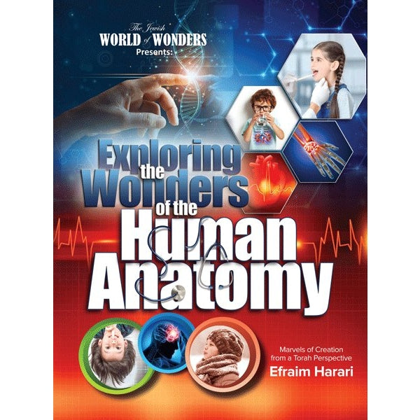 Exploring the wonders of the human anatomy {Books-Kids-Books for Children} Manchester Judaica