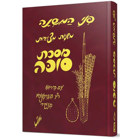 פני סוכה - משניות סוכה עם ציורים מסבירים {ספרים-משנה-משניות} Manchester Judaica