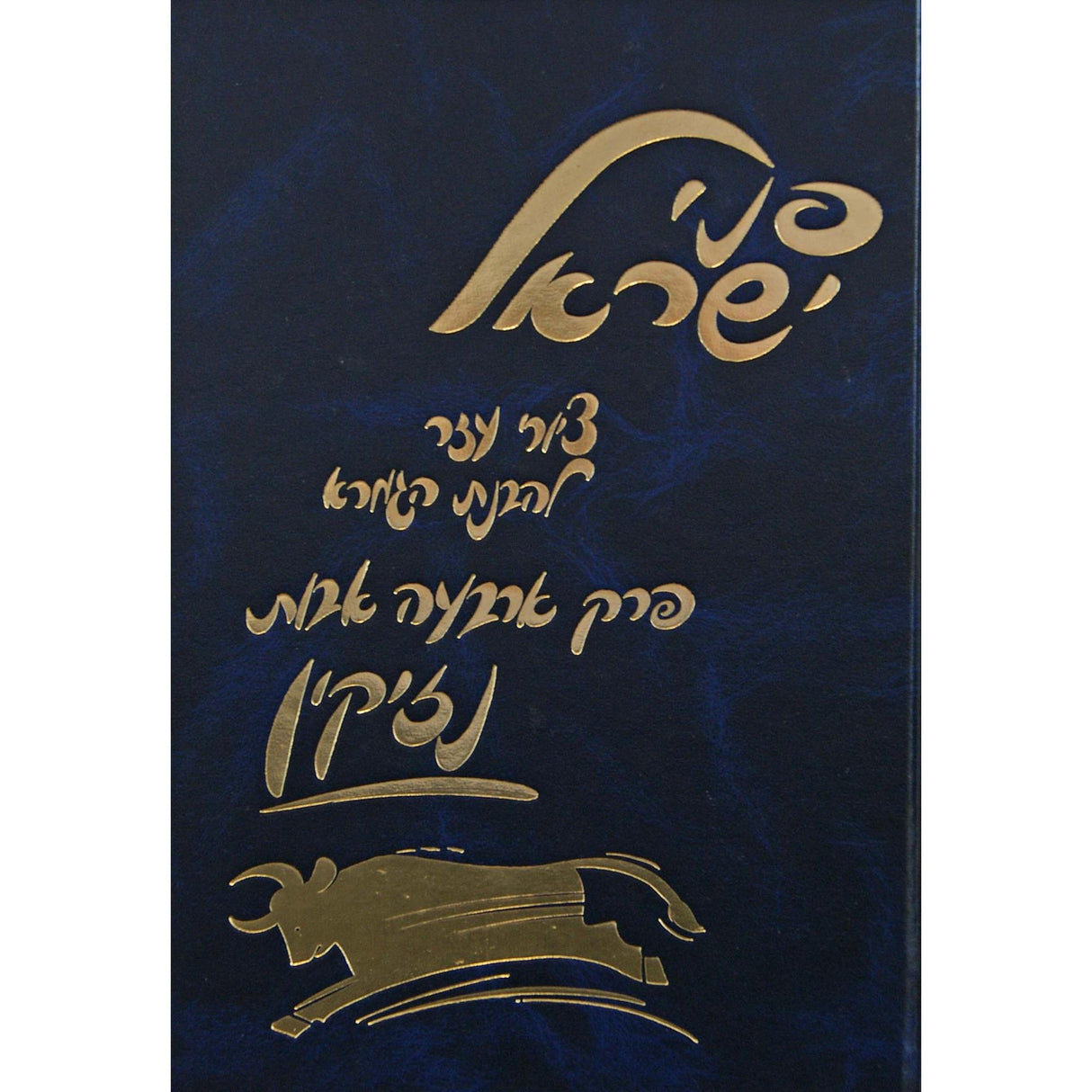 פרק ארבעה אבות נזיקין עם ציורים-פני ישראל {ספרים-גמרא תלמוד-פרקים} Manchester Judaica