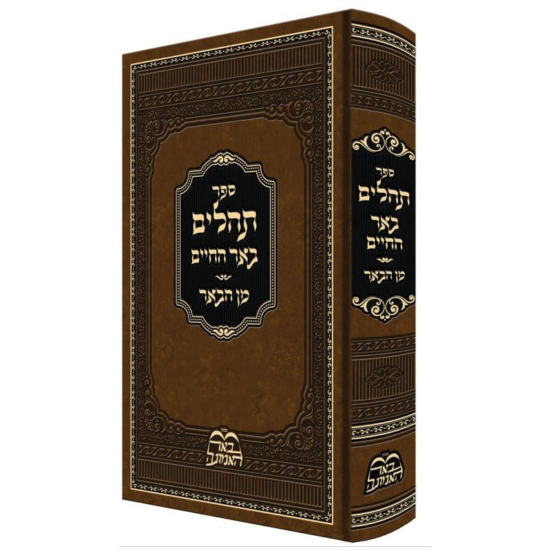 תהלים באר החיים - מן הבאר {ספרים-תפילות-תהלים} Manchester Judaica