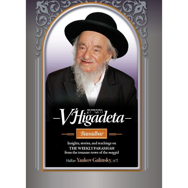 V'higadeta - Bamidbar - Insights & stories {Books-English-Parsha} Manchester Judaica