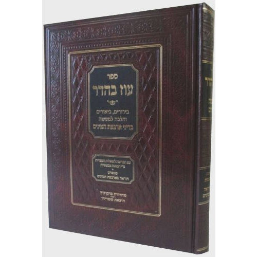 עוז בהדר - דיני ארבעת המינים, בירורים ביאורים והלכה למעשה {ספרים-מועדים וזמנים-סוכות} Manchester Judaica