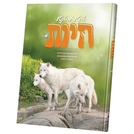 אינטרעסאנטע חיות #4 {Books-קינדער ביכער-אנציקלופדיה} Manchester Judaica