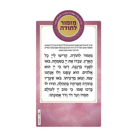 Mizmor Lesoda Magnet - Pink
