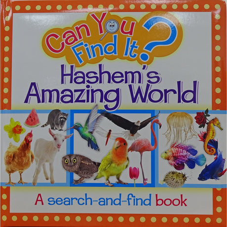 Can find it? Hashems amazing world Books-English-To be sorted 157978 Manchester Judaica