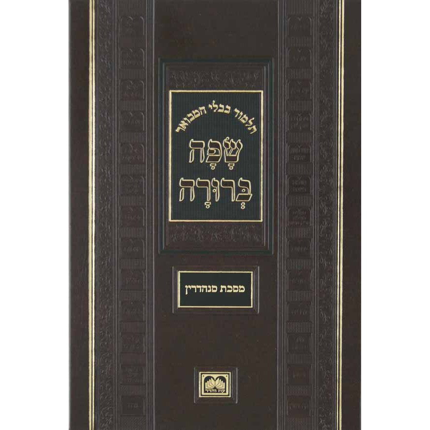 גמ' עירובין המבואר שפה ברורה פנינים