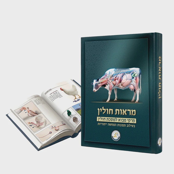 מראות חולין - תמונות מבוארות על המסכת - קול הלשון {ספרים-גמרא תלמוד-מפרשי הש"ס} Manchester Judaica